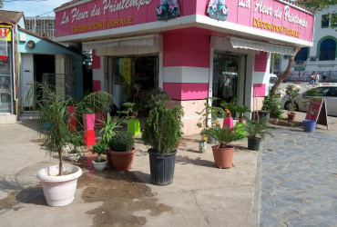 La Fleur du Printemps